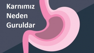 Karnımız Neden Guruldar