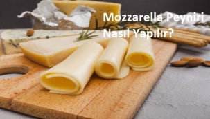 Mozzarella Peyniri Nasıl Yapılır?
