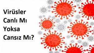 Virüsler Canlı Mı Yoksa Cansız Mı?