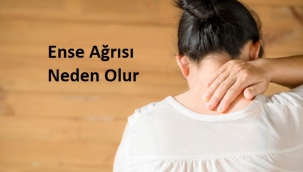 Ense Ağrısı Neden Olur