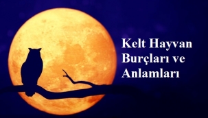 Kelt Hayvan Burçları ve Anlamları
