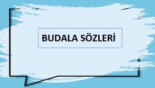 Budala Sözleri