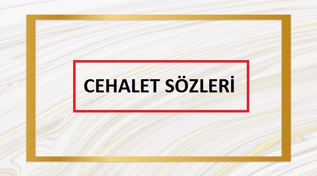 Cehalet İle İlgili Sözler