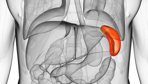 Dalak Büyümesinin Belirtileri