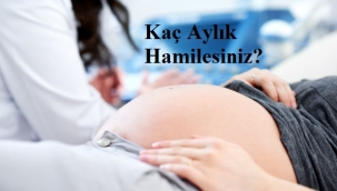 Kaç Aylık Hamilesiniz?