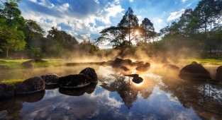 Rüyada Ağaç Görmek Ne Anlama Gelir