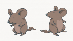 Rüyada Fare Görmek Ne Anlama Gelir