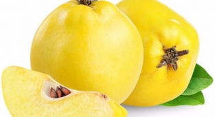 Rüyada Ayva Görmek Ne Anlama Gelir