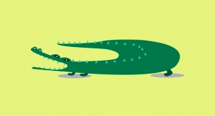 Rüyada Timsah Görmek Ne Anlama Gelir