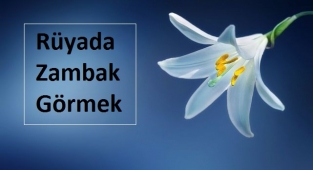 Rüyada Zambak Görmek Ne Anlama Gelir