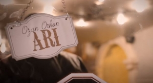 Ozan Orhon - Arı Şarkı Sözü