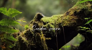 Fisun - Senden Sonra Şarkı Sözü