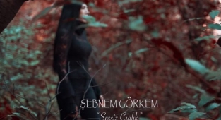 Şebnem Görkem - Sessiz Çığlık Şarkı Sözü