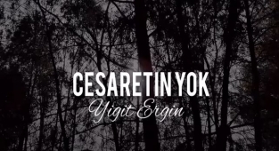 Yiğit Ergin - Cesaretin Yok Şarkı Sözü