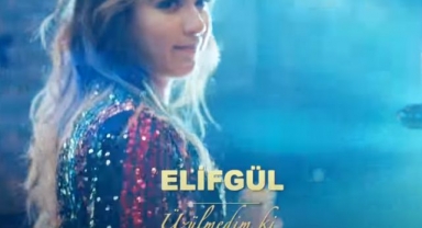Elif Gül - Üzülmedim Ki Şarkı Sözü