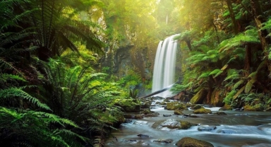 Whangarei Şelaleleri Yeni Zelanda