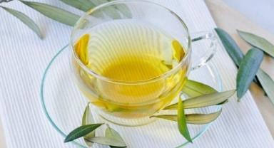 Zeytin Yaprağı Çayının Faydaları Nelerdir?