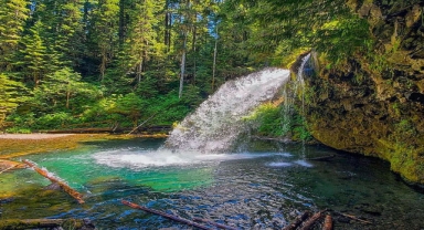 Gifford Pinchot Ulusal Ormanı