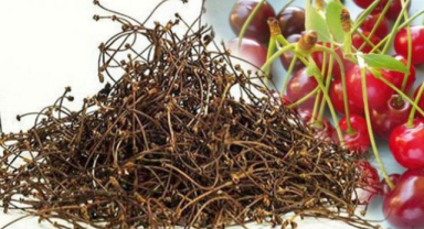 Kiraz Sapının Faydaları Nelerdir?