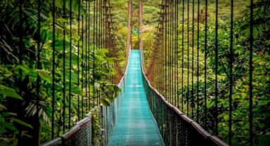 Monteverde Bulut Ormanı