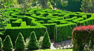 Vandusen Botanik Bahçesi