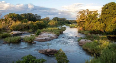 Kruger Ulusal Parkı