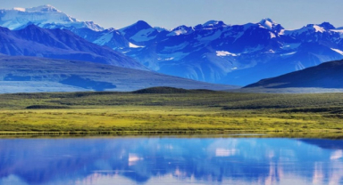 Denali Ulusal Parkı