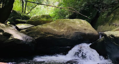 Hakgala Ella Şelalesi