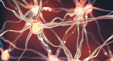 Hormonların Vücudunuza Yolladığı Sinyaller