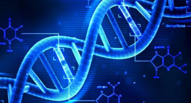 DNA Nedir? Özellikleri ve Kullanım Alanları Nelerdir?