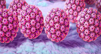 HPV Nedir?
