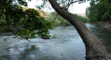 Litani Nehri