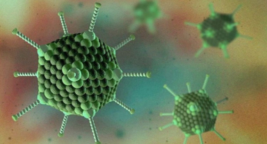 Adenovirüs Nedir? Adenovirüs Belirtileri Nelerdir?