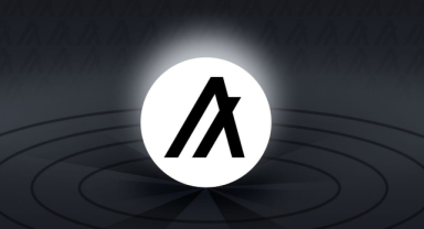 Algorand (ALGO) Coin Nedir?