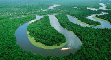 Amazon Nehri - Dünyanın En Büyük Nehri