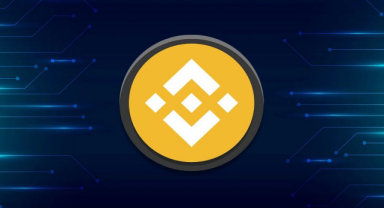 BNB Coin, Binance'in Yerel Coini