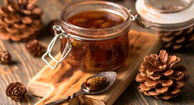 Çam Kozalağı Şurubu Nedir? Çam Kozalağı Şurubu Faydaları Nelerdir?