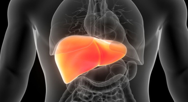 FibroScan Nedir? FibroScan Hangi Durumlarda Kullanılır?