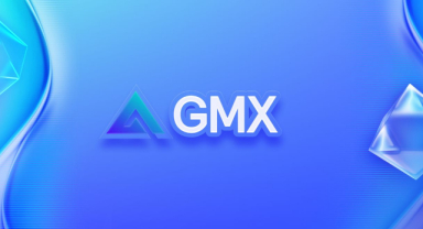 GMX Coin: Oyun ve NFT'ler İçin Yerel Kripto Para Birimi