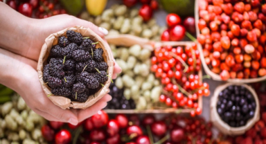 Karadut Özü Nedir? Karadut Özü Faydaları Nelerdir?