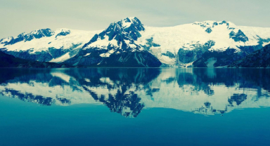 Kenai Fiyordu Buzulu