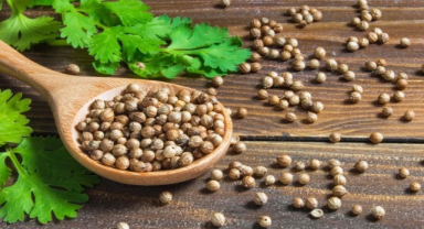 Kişniş Nedir? Kişnişin Faydaları Nelerdir?