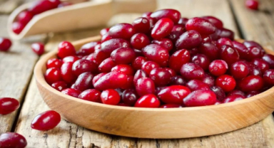 Kızılcık Faydaları Nelerdir?