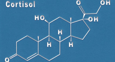 Kortizol Hormonu Nedir? Görevleri Nelerdir?