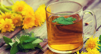 Melisa Çayı Nedir? Melisa Çayının Faydaları Nelerdir?