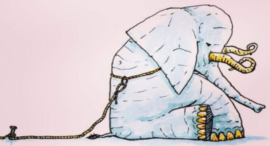 Öğrenilmiş çaresizlik Ne Demek? Öğrenilmiş Çaresizlik Nasıl Önlenilir?