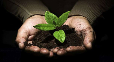 Dünya Toprak Günü