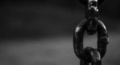 Köleliğin Yasaklanması Günü