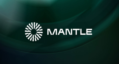 Mantle Coin: Metaverse Oyun Platformunun Yerel Kripto Para Birimi