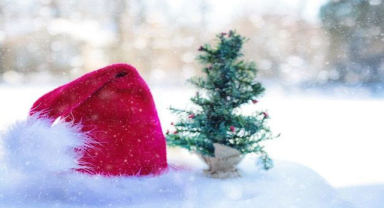 Noel: İsa'nın Doğuşu